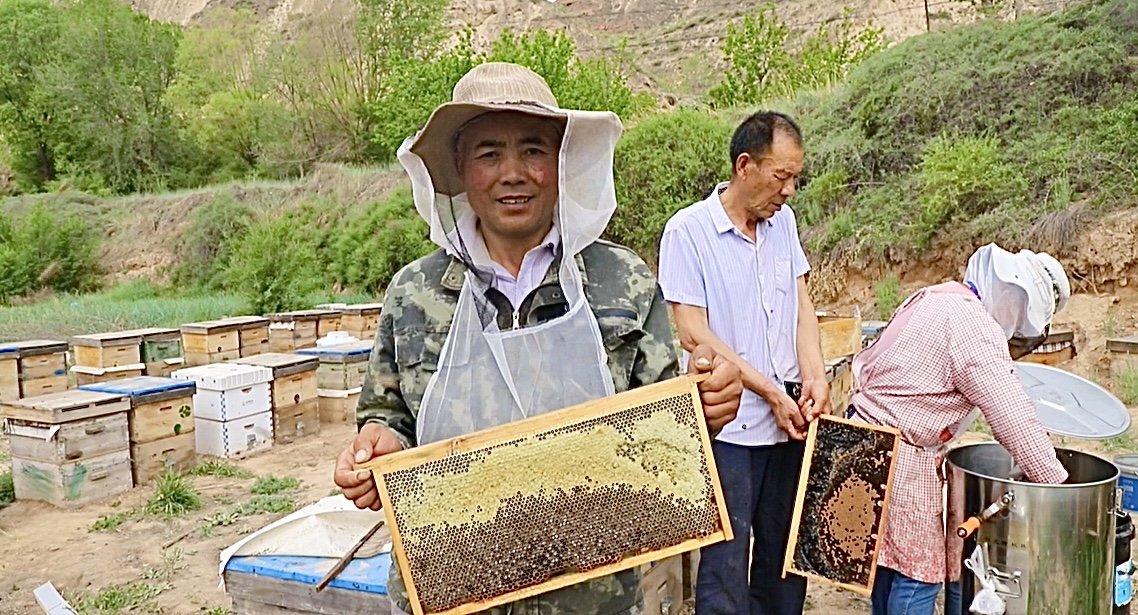 圖片4