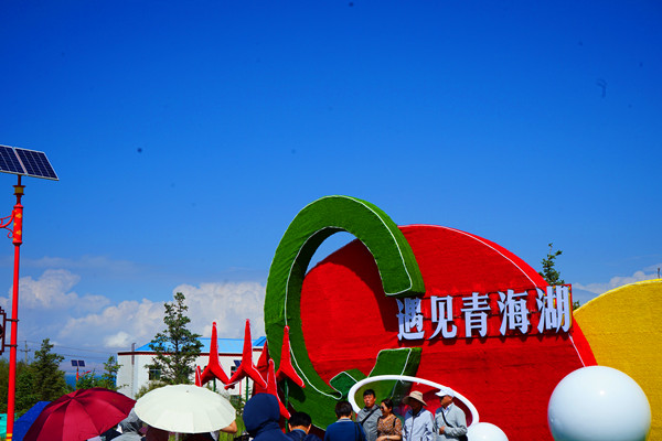 DSC05014_副本