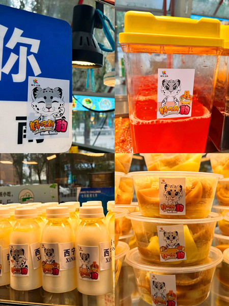 微信圖片_20240809170530_副本_副本