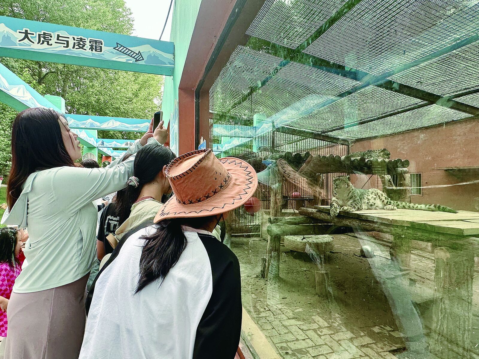 QQ圖片20240816061140