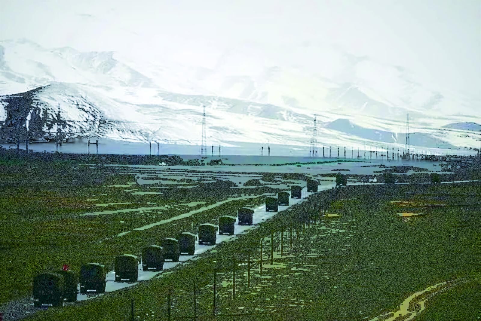 QQ圖片20241025060738