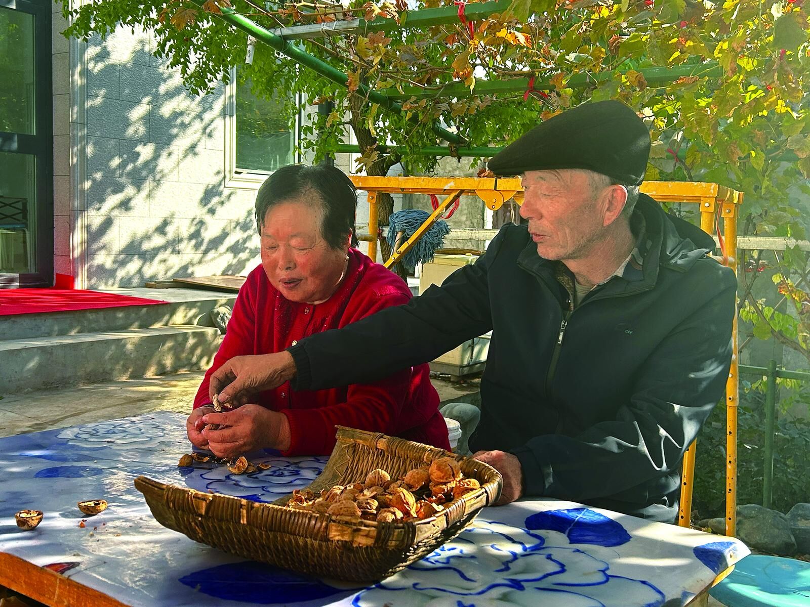 QQ圖片20241122061428