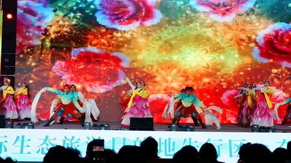 DSC08967_副本