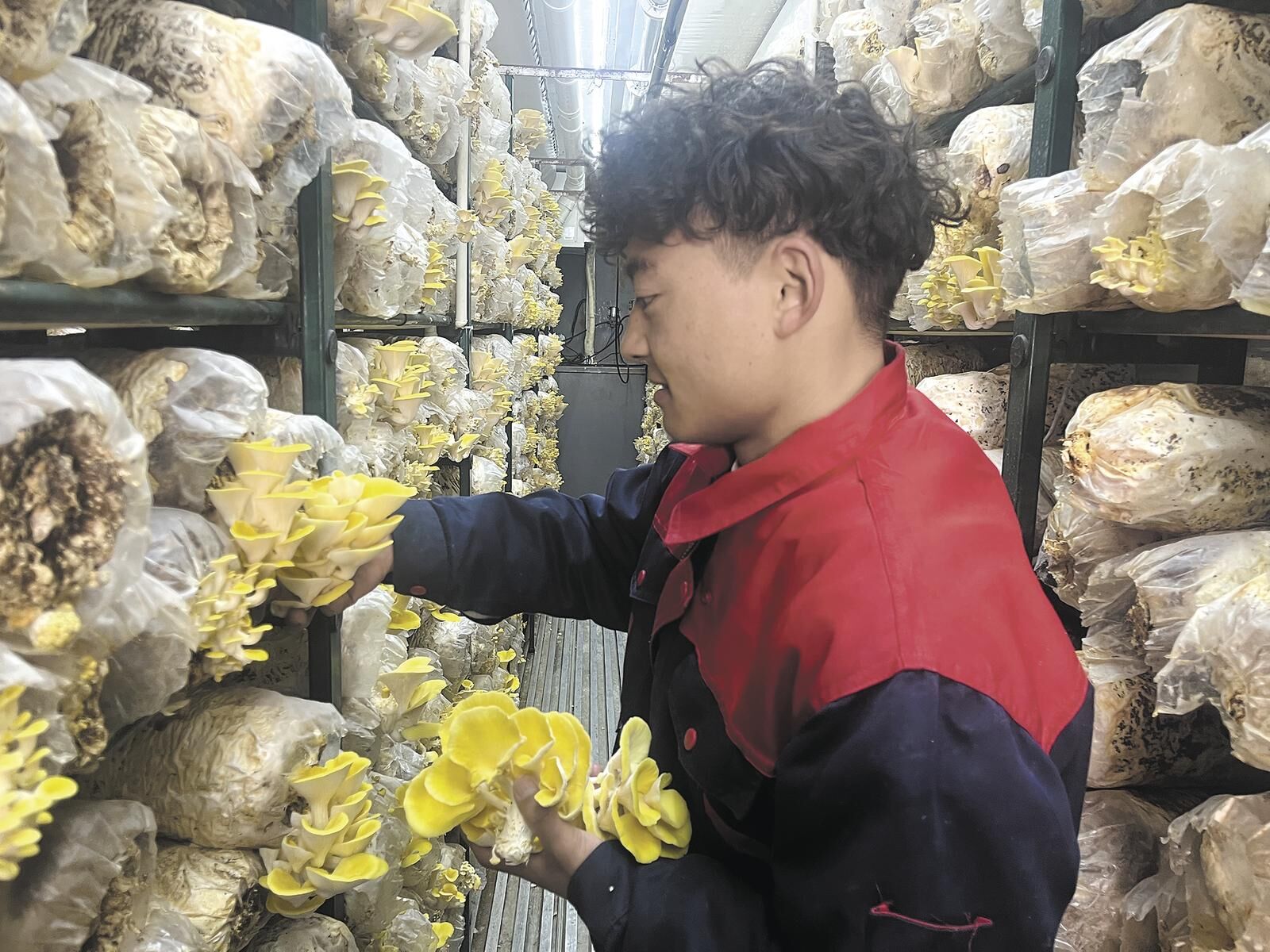 QQ圖片20250425063420